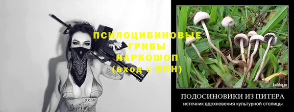 бошки Абинск