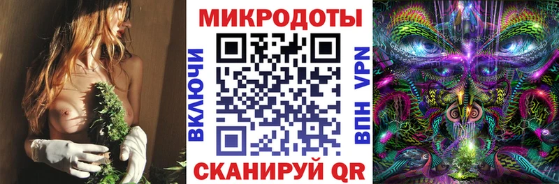 Галлюциногенные грибы мицелий Таштагол